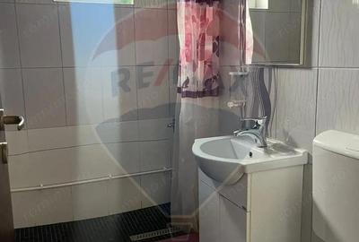 Apartament cu 2 camere de vanzare in Cavnic - 5