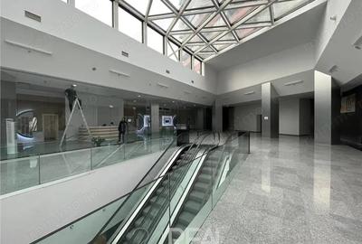 Spațiu comercial, în Berceni - 14