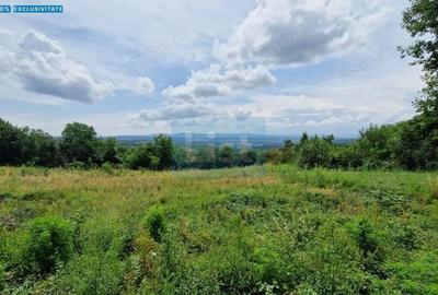 Teren de 5143 mp, în Baia Sprie - 8