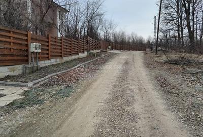 Teren intravilan 975mp, Bârnova - 1