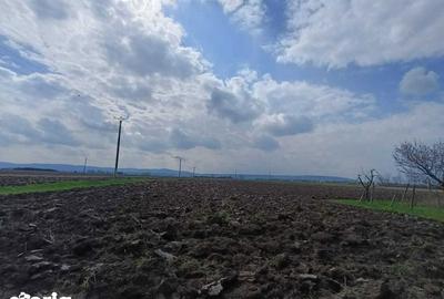 Teren de 6000 mp, în Săucești - 4