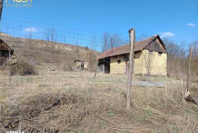 Casă cu 2 camere în Hagău - 4
