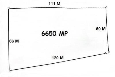 Teren 6650 mp pe Valea Avrigului ideal pentru investitie - 2