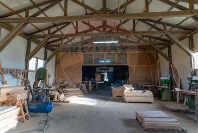 Spațiu industrial, de 650 mp, în Ribița - 8