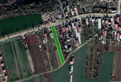 Balotesti - Caciulati, teren intravilan, suprafata 2.596 mp - 7