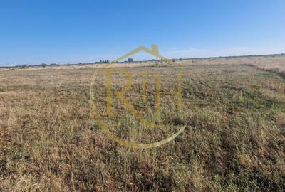 Teren Construcții intravilan de 7530 mp, în Plopi - 3