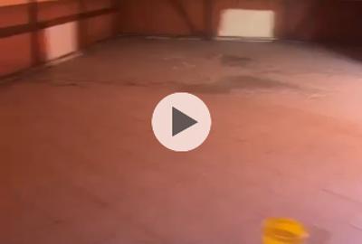 Casă individuală cu 2 camere cu Teren 217 Mp în Dristor - 3