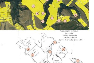 Teren de 380000 mp, în Rasova - 3