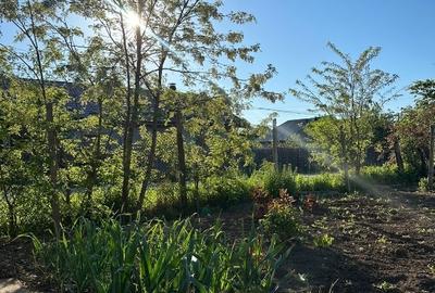 Casă individuală cu 3 camere cu Teren 1167 Mp în Băneasa - 11