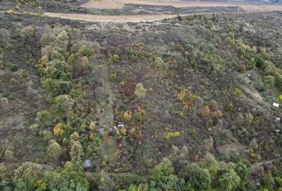 Teren 18,300mp Ghioroc - 3