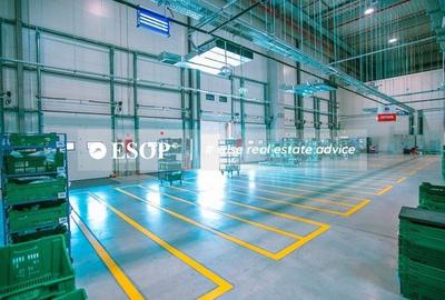 Spațiu industrial, de 2,200 mp, în Chitila - 4