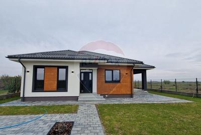 Casa / Vila cu 3 camere de vanzare Ciocanesti - 3