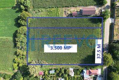 Teren de 3500 mp, în Bogdănești - 8