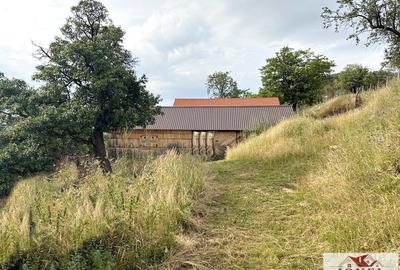 Casa de vanzare in comuna Sasciori cu 84.843 mp teren - 8