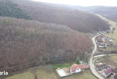 Casă cu 4 camere cu Teren 1625 Mp în Păuliș - 1