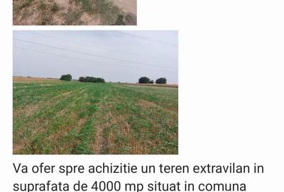 Teren de 4000 mp, în Berceni