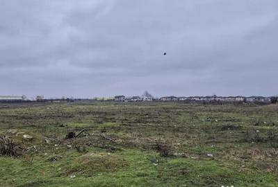 Teren de 31497 mp, în Vest - 5