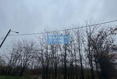 Teren intravilan Drumul Fermei - 4