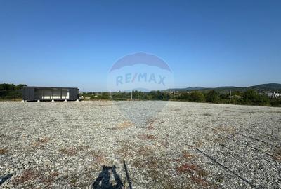 PLATFORMA DE INCHIRIAT parc auto, depozit de materiele - 5