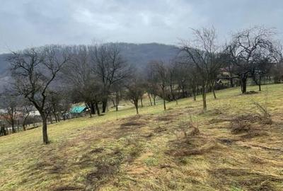 Casă cu 2 camere cu Teren 6000 Mp în Tăuții-Măgherăuș - 11