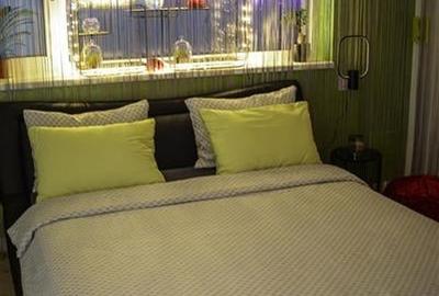 Nivel in vila, in caracter unic, dotari de colectie, terase, parcare securizata, - 12