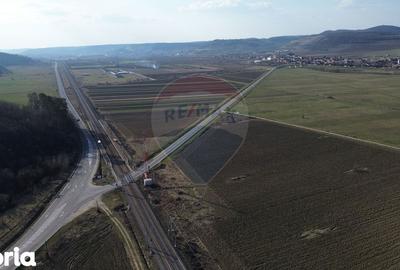 Teren de 19319 mp, în Laslea - 9