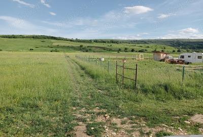Teren de 1300 mp, în Chinteni - 9