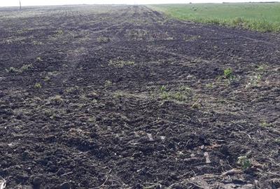 Teren de 15000 mp, în Agigea - 3