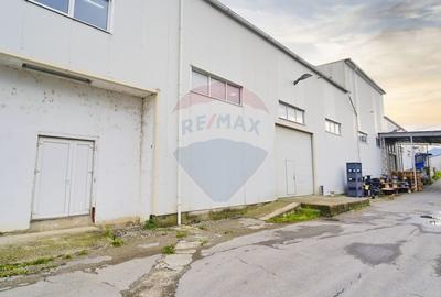Hala industriala - investitie stabila sau potential operational - 1