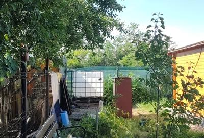 Cascioarele, Ulmi jud. Giurgiu, teren 1.200 mp + casuta de gradina si anexe - 2