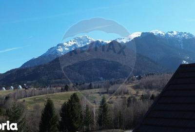 Casă cu 4 camere cu Teren 1487 Mp în Bartolomeu - 17