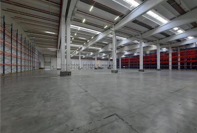 Spatiu Industrial - 5000 mp - Logistica - Depozitare - Distributie - 14