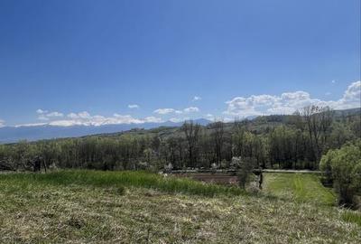 Spațiu comercial, în Ciula Mare - 7