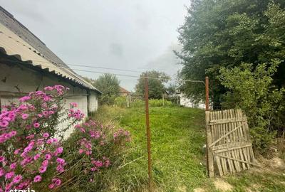 Casă cu 2 camere în Lipău - 8