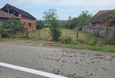 Casă cu 5 camere cu Teren 2670 Mp în Haieu - 2