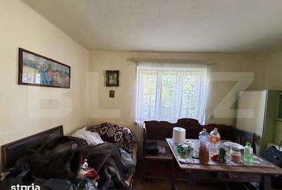 Casă cu 3 camere cu Teren 4100 Mp în Horoatu Crasnei - 4