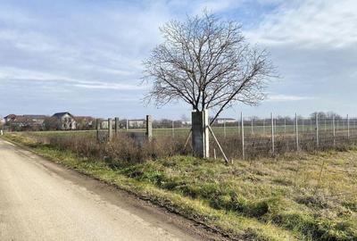 Afumati - Str. Iasomiei, 2409 MP, stradal, intravilan, de...