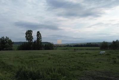 Teren 3953 mp Falticeni Tarna Mare De 0727817187 - 9