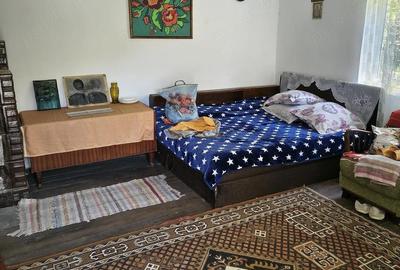 Casă cu 3 camere cu Teren 1400 Mp în Nicolae Bălcescu - 7