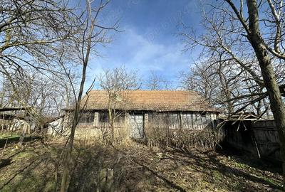 Vand Casa in Siclau , Judetul Arad 1500Mp - 3