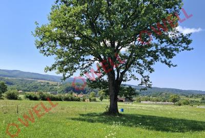 De vânzare teren intravilan de 7600 m² în Sovata, pe strada Alunei (Mogyoró). - 8