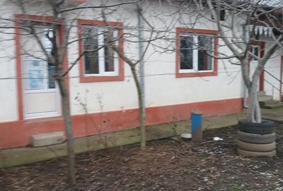 Casă cu 3 camere cu Teren 991 Mp în Vadu Pașii - 2