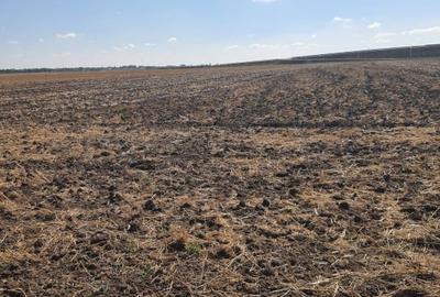 TEREN  EXTRAVILAN 7.802 mp –DOMNESTI, ILFOV - 1