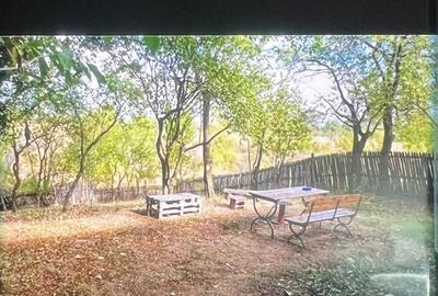 Casă cu 4 camere cu Teren 1800 Mp în Bârsoiu - 6