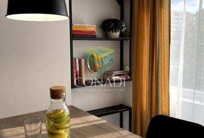 Garsoniera renovata modern str Nada Florilor - Teiul Domnei - 29