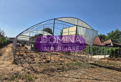 Casa cu teren impresionant in Targu Jiu - 8