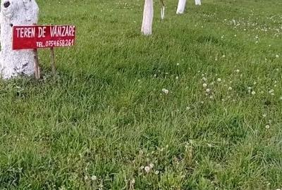 Spațiu comercial, în Borod - 2