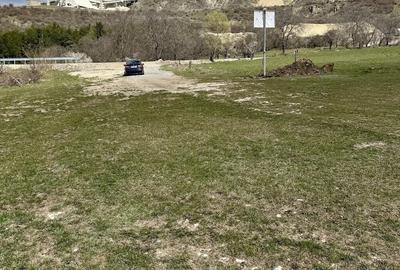 Teren de 10000 mp, în Valea Mare - 4