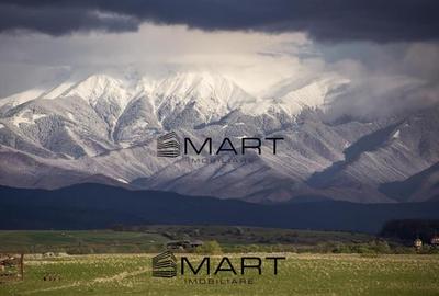 Apartament 4 camere zona Mihai Viteazul - 13