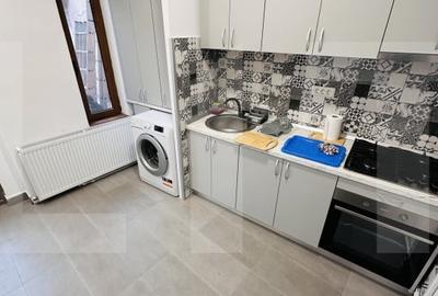 Apartament la casa, 40 mp, Andrei Saguna - 4